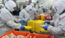 鸡腿生产过程爆料视频,从农场到餐桌的蜕变之旅